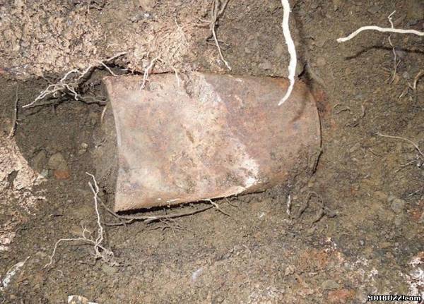 В Калифорнии нашли клад на 10 миллионов долларов (9 фото)