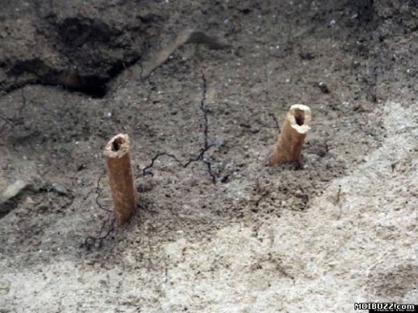 Умершего 800 лет назад монаха нашли по торчащим из скалы ногам
