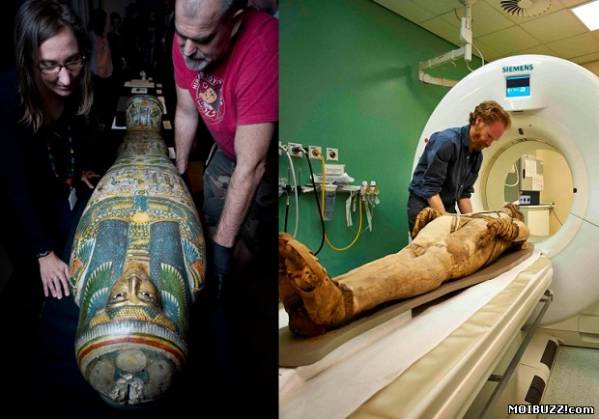 Внутри мумии древнеегипетской певицы Тамут (6 фото)