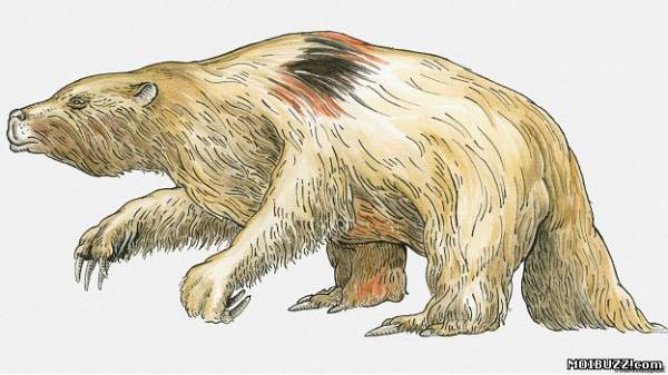 Мегатерия - доисторический сородич ленивца (фото)