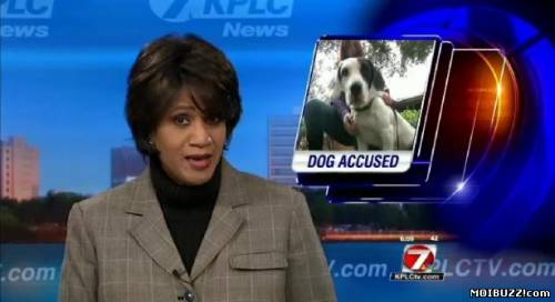 Собака обвиняется в сексуальном нападении  в США!