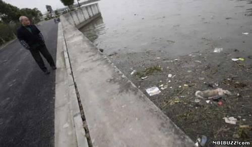 2 800 мертвых свиней плавают в реке Хуанпу возле Шанхая (8 фото)