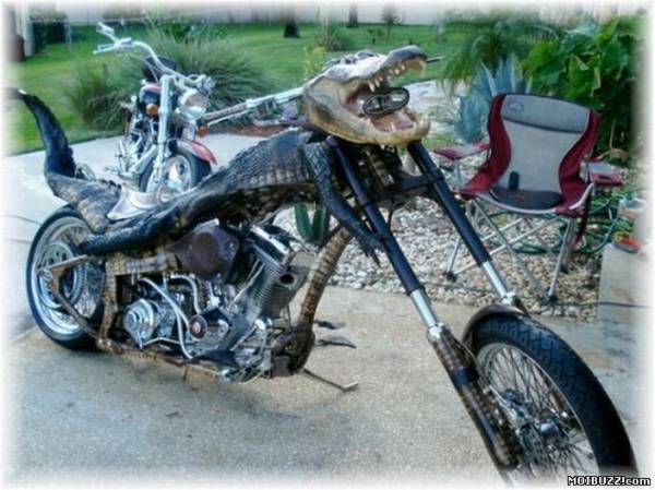 Мотоцикл из крокодила