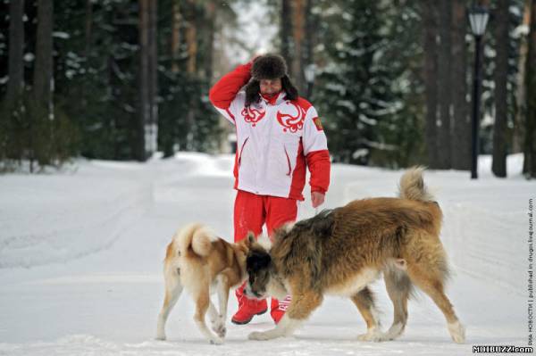 Путин и его собаки (6 фото)